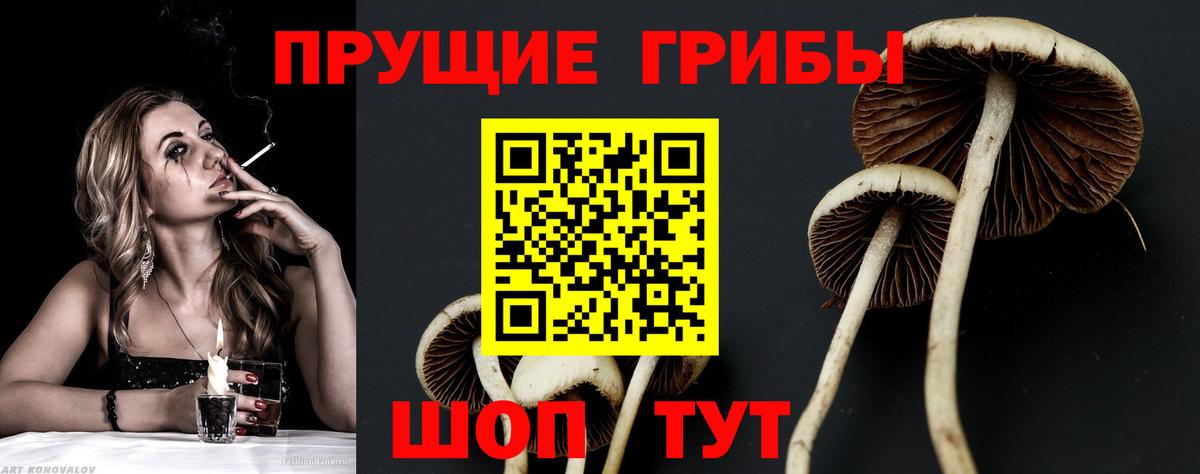 Галлюциногенные грибы мицелий Тамбов