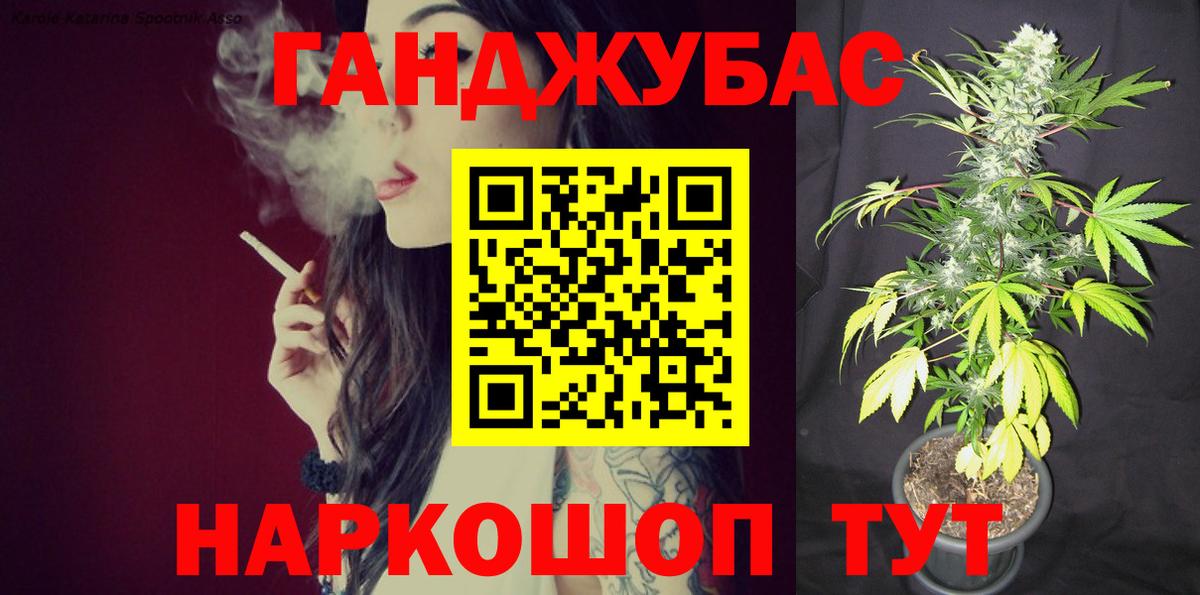 Тамбов  Каннабис гибрид  Шишки марихуана Bruce Banner  Бошки марихуана White Widow  Вход с VPN  Бошки марихуана VHQ 